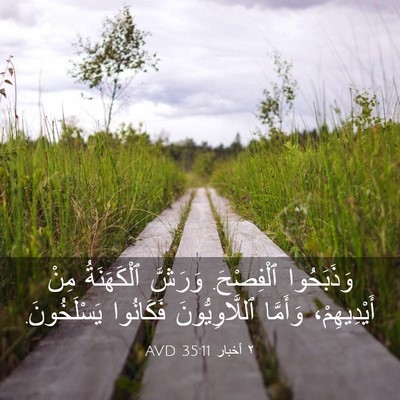 Picture 03 - ٢ أخبار 35:11 AVD - وَذَبَحُوا ٱلْفِصْحَ. - Bible Verse Picture