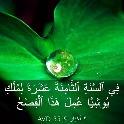 Picture 03 - ٢ أخبار 35:19 AVD - فِي ٱلسَّنَةِ - Bible Verse Picture