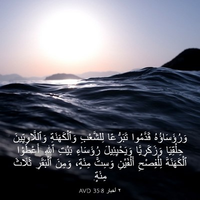 Picture 03 - ٢ أخبار 35:8 AVD - وَرُؤَسَاؤُهُ قَدَّمُوا - Bible Verse Picture