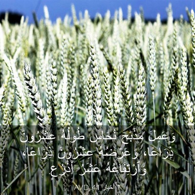 Picture 03 - ٢ أخبار 4:1 AVD - وَعَمِلَ مَذْبَحَ نُحَاسٍ - Bible Verse Picture