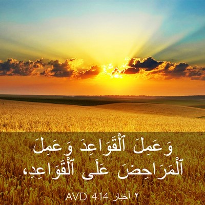 Picture 03 - ٢ أخبار 4:14 AVD - وَعَمِلَ ٱلْقَوَاعِدَ - Bible Verse Picture