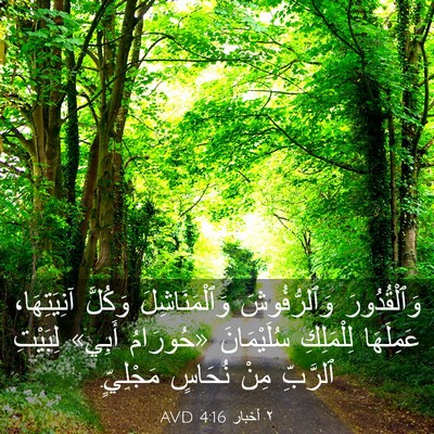 Picture 03 - ٢ أخبار 4:16 AVD - وَٱلْقُدُورَ وَٱلرُّفُوشَ - Bible Verse Picture
