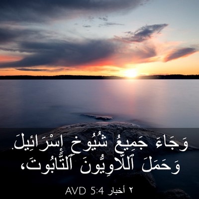 Picture 03 - ٢ أخبار 5:4 AVD - وَجَاءَ جَمِيعُ شُيُوخِ - Bible Verse Picture