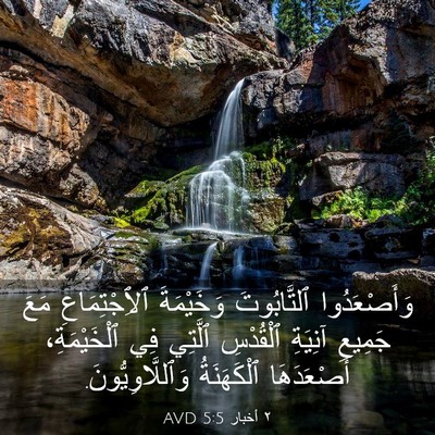 Picture 03 - ٢ أخبار 5:5 AVD - وَأَصْعَدُوا ٱلتَّابُوتَ - Bible Verse Picture