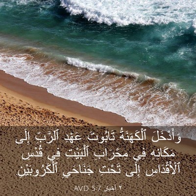 Picture 03 - ٢ أخبار 5:7 AVD - وَأَدْخَلَ ٱلْكَهَنَةُ - Bible Verse Picture