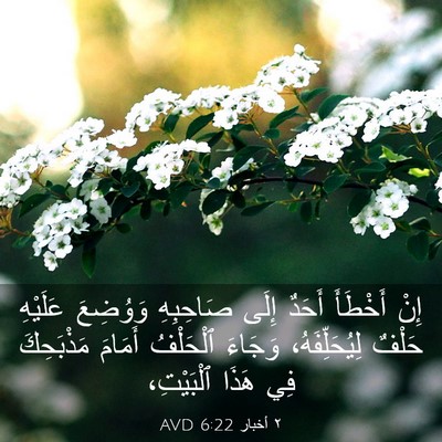 Picture 03 - ٢ أخبار 6:22 AVD - إِنْ أَخْطَأَ أَحَدٌ إِلَى - Bible Verse Picture