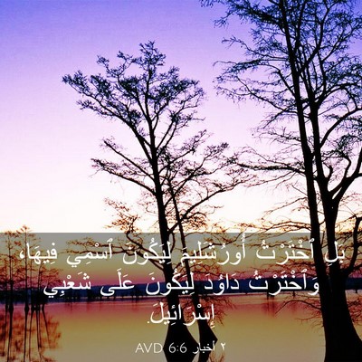 Picture 03 - ٢ أخبار 6:6 AVD - بَلِ ٱخْتَرْتُ - Bible Verse Picture