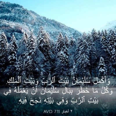 Picture 03 - ٢ أخبار 7:11 AVD - وَأَكْمَلَ سُلَيْمَانُ - Bible Verse Picture