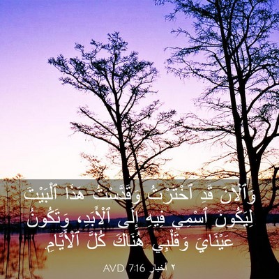 Picture 03 - ٢ أخبار 7:16 AVD - وَٱلْآنَ قَدِ ٱخْتَرْتُ - Bible Verse Picture