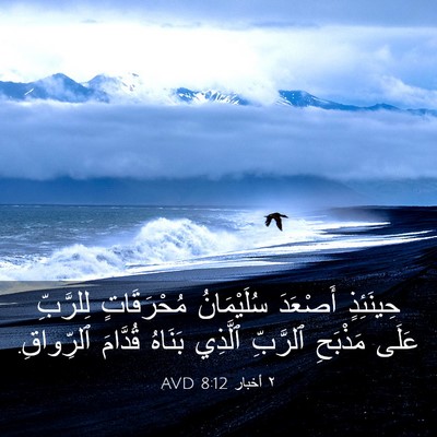 Picture 03 - ٢ أخبار 8:12 AVD - حِينَئِذٍ أَصْعَدَ - Bible Verse Picture