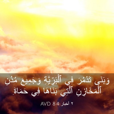 Picture 03 - ٢ أخبار 8:4 AVD - وَبَنَى تَدْمُرَ فِي - Bible Verse Picture