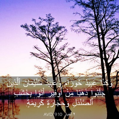 Picture 03 - ٢ أخبار 9:10 AVD - وَكَذَا عَبِيدُ حُورَامَ - Bible Verse Picture