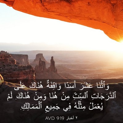 Picture 03 - ٢ أخبار 9:19 AVD - وَٱثْنَا عَشَرَ أَسَدًا - Bible Verse Picture