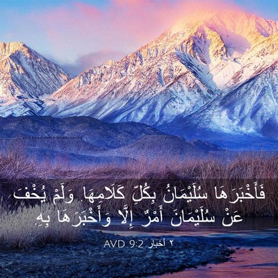 Picture 03 - ٢ أخبار 9:2 AVD - فَأَخْبَرَهَا سُلَيْمَانُ - Bible Verse Picture