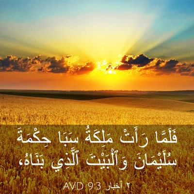 Picture 03 - ٢ أخبار 9:3 AVD - فَلَمَّا رَأَتْ مَلِكَةُ - Bible Verse Picture