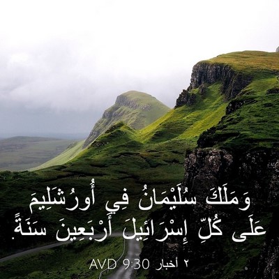 Picture 03 - ٢ أخبار 9:30 AVD - وَمَلَكَ سُلَيْمَانُ فِي - Bible Verse Picture