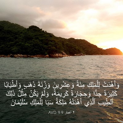 Picture 03 - ٢ أخبار 9:9 AVD - وَأَهْدَتْ لِلْمَلِكِ - Bible Verse Picture