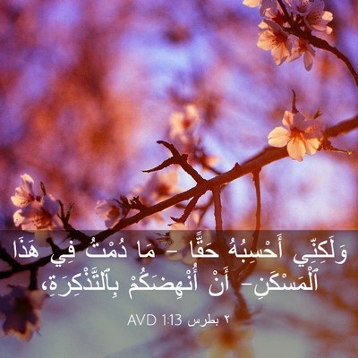 Picture 03 - ٢ بطرس 1:13 AVD - وَلَكِنِّي أَحْسِبُهُ - Bible Verse Picture