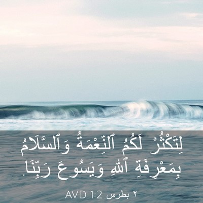 Picture 03 - ٢ بطرس 1:2 AVD - لِتَكْثُرْ لَكُمُ - Bible Verse Picture