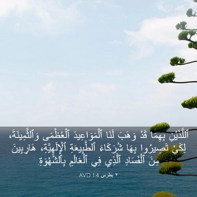Picture 03 - ٢ بطرس 1:4 AVD - ٱللَّذَيْنِ بِهِمَا قَدْ - Bible Verse Picture