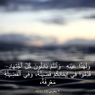 Picture 03 - ٢ بطرس 1:5 AVD - وَلِهَذَا عَيْنِهِ - Bible Verse Picture
