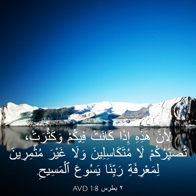 Picture 03 - ٢ بطرس 1:8 AVD - لِأَنَّ هَذِهِ إِذَا - Bible Verse Picture