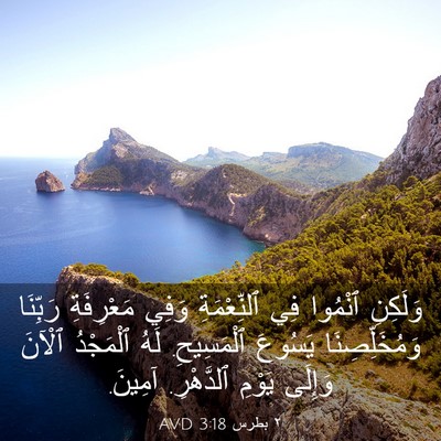 Picture 03 - ٢ بطرس 3:18 AVD - وَلَكِنِ ٱنْمُوا فِي - Bible Verse Picture