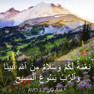 Picture 03 - ٢ تسالونيكي 1:2 AVD - نِعْمَةٌ لَكُمْ وَسَلَامٌ - Bible Verse Picture
