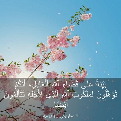 Picture 03 - ٢ تسالونيكي 1:5 AVD - بَيِّنَةً عَلَى قَضَاءِ - Bible Verse Picture