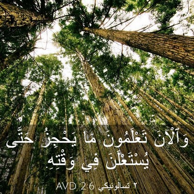 Picture 03 - ٢ تسالونيكي 2:6 AVD - وَٱلْآنَ تَعْلَمُونَ مَا - Bible Verse Picture