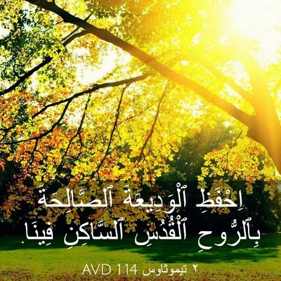 Picture 03 - ٢ تيموثاوس 1:14 AVD - اِحْفَظِ ٱلْوَدِيعَةَ - Bible Verse Picture