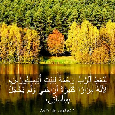 Picture 03 - ٢ تيموثاوس 1:16 AVD - لِيُعْطِ ٱلرَّبُّ - Bible Verse Picture