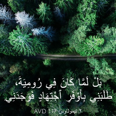 Picture 03 - ٢ تيموثاوس 1:17 AVD - بَلْ لَمَّا كَانَ فِي - Bible Verse Picture