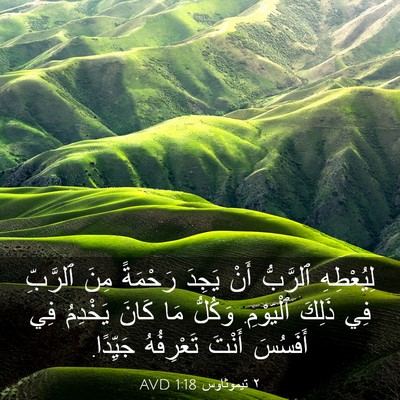 Picture 03 - ٢ تيموثاوس 1:18 AVD - لِيُعْطِهِ ٱلرَّبُّ أَنْ - Bible Verse Picture