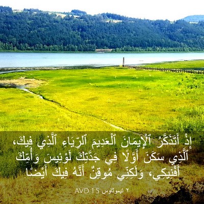 Picture 03 - ٢ تيموثاوس 1:5 AVD - إِذْ أَتَذَكَّرُ - Bible Verse Picture