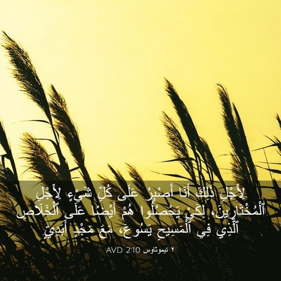 Picture 03 - ٢ تيموثاوس 2:10 AVD - لِأَجْلِ ذَلِكَ أَنَا - Bible Verse Picture