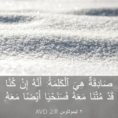 Picture 03 - ٢ تيموثاوس 2:11 AVD - صَادِقَةٌ هِيَ - Bible Verse Picture