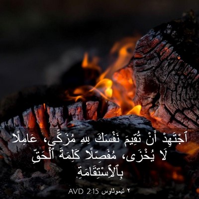Picture 03 - ٢ تيموثاوس 2:15 AVD - ٱجْتَهِدْ أَنْ تُقِيمَ - Bible Verse Picture