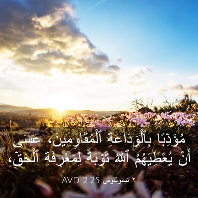 Picture 03 - ٢ تيموثاوس 2:25 AVD - مُؤَدِّبًا بِٱلْوَدَاعَةِ - Bible Verse Picture