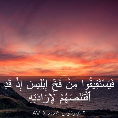 Picture 03 - ٢ تيموثاوس 2:26 AVD - فَيَسْتَفِيقُوا مِنْ - Bible Verse Picture