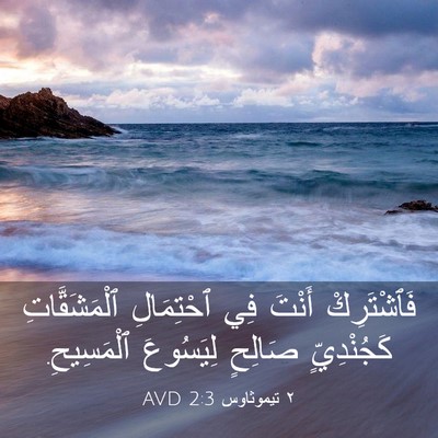 Picture 03 - ٢ تيموثاوس 2:3 AVD - فَٱشْتَرِكْ أَنْتَ فِي - Bible Verse Picture