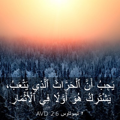 Picture 03 - ٢ تيموثاوس 2:6 AVD - يَجِبُ أَنَّ ٱلْحَرَّاثَ - Bible Verse Picture