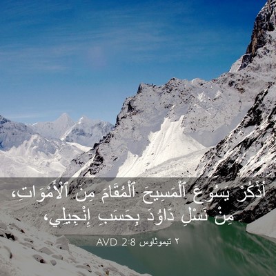 Picture 03 - ٢ تيموثاوس 2:8 AVD - اُذْكُرْ يَسُوعَ - Bible Verse Picture