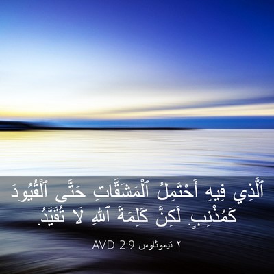 Picture 03 - ٢ تيموثاوس 2:9 AVD - ٱلَّذِي فِيهِ أَحْتَمِلُ - Bible Verse Picture