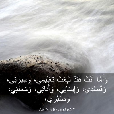 Picture 03 - ٢ تيموثاوس 3:10 AVD - وَأَمَّا أَنْتَ فَقَدْ - Bible Verse Picture