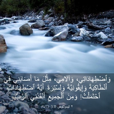 Picture 03 - ٢ تيموثاوس 3:11 AVD - وَٱضْطِهَادَاتِي، - Bible Verse Picture