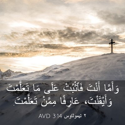 Picture 03 - ٢ تيموثاوس 3:14 AVD - وَأَمَّا أَنْتَ فَٱثْبُتْ - Bible Verse Picture