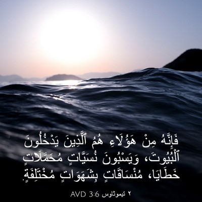 Picture 03 - ٢ تيموثاوس 3:6 AVD - فَإِنَّهُ مِنْ هَؤُلَاءِ - Bible Verse Picture