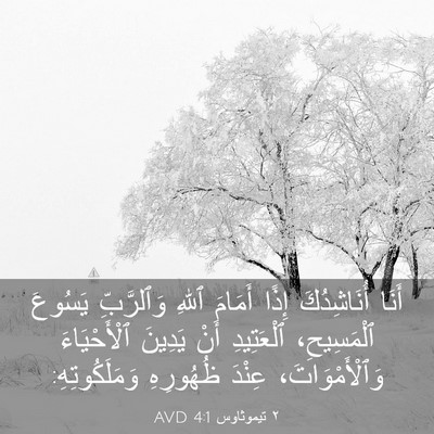 Picture 03 - ٢ تيموثاوس 4:1 AVD - أَنَا أُنَاشِدُكَ إِذًا - Bible Verse Picture