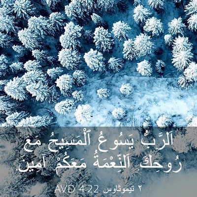 Picture 03 - ٢ تيموثاوس 4:22 AVD - اَلرَّبُّ يَسُوعُ - Bible Verse Picture
